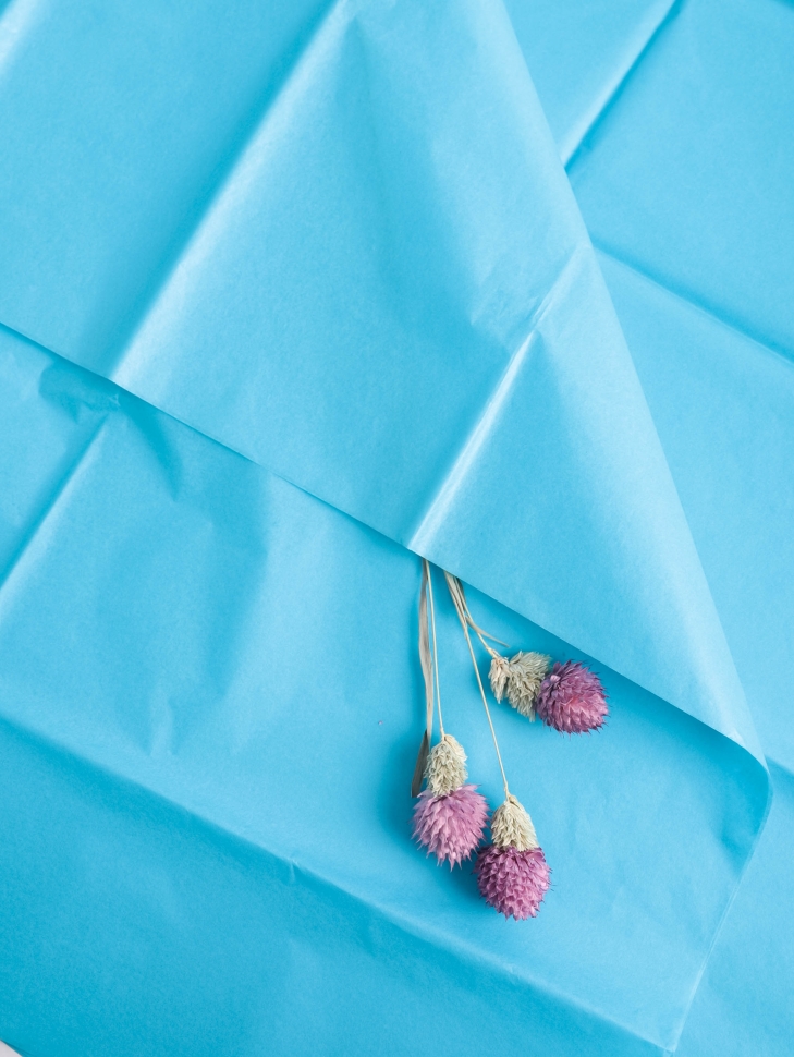 Бумага тишью 50х66см,10 лист. голубой Бумага тишью 50х66см,10 лист. голубой