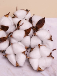 ИЦ Хлопковые коробочки 15шт 5см белый