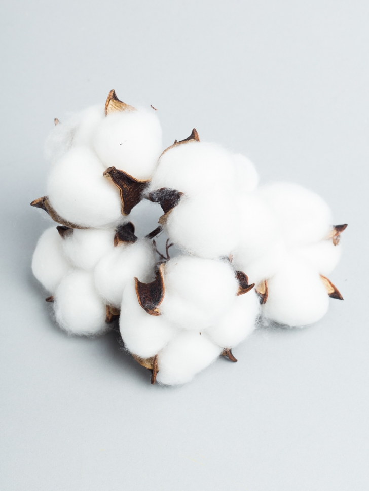 ИЦ Хлопковые коробочки 15шт 5см белый ИЦ Хлопковые коробочки 15шт 5см белый