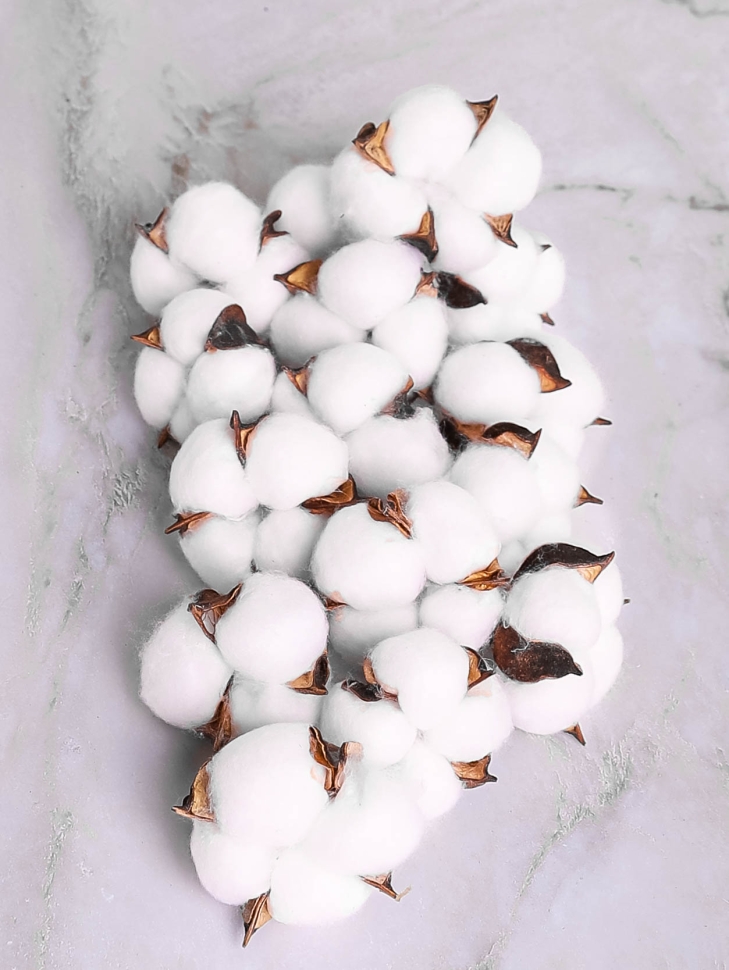 ИЦ Хлопковые коробочки 15шт 5см белый ИЦ Хлопковые коробочки 15шт 5см белый