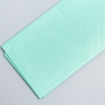 Бумага тишью 50х66см,10 лист. салатовый Бумага тишью 50х66см,10 лист. салатовый