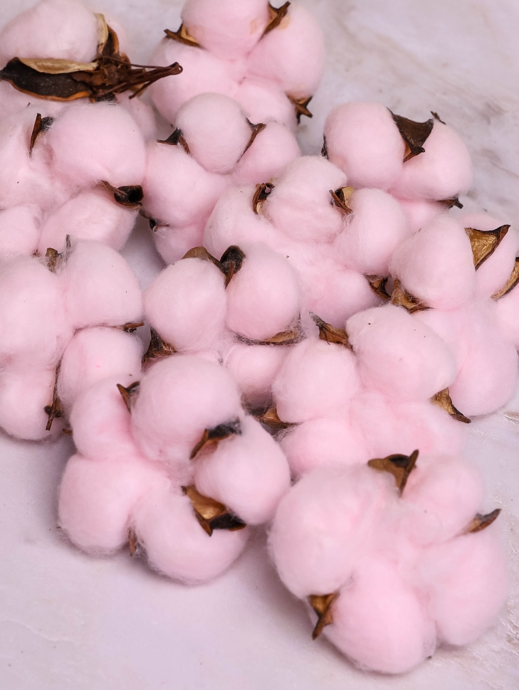 ИЦ Хлопковые коробочки 15шт 5см розовый