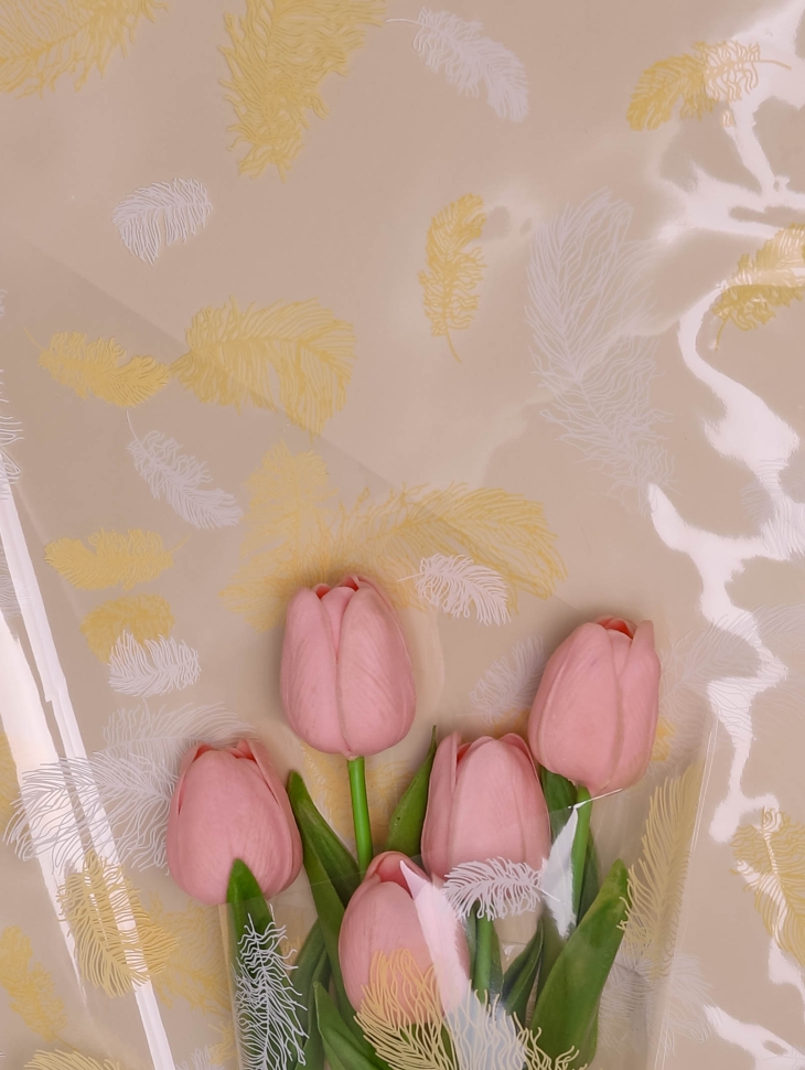 Пленка цветная 60см Перышки белый/кремовый Пленка цветная 60см Перышки белый/кремовый