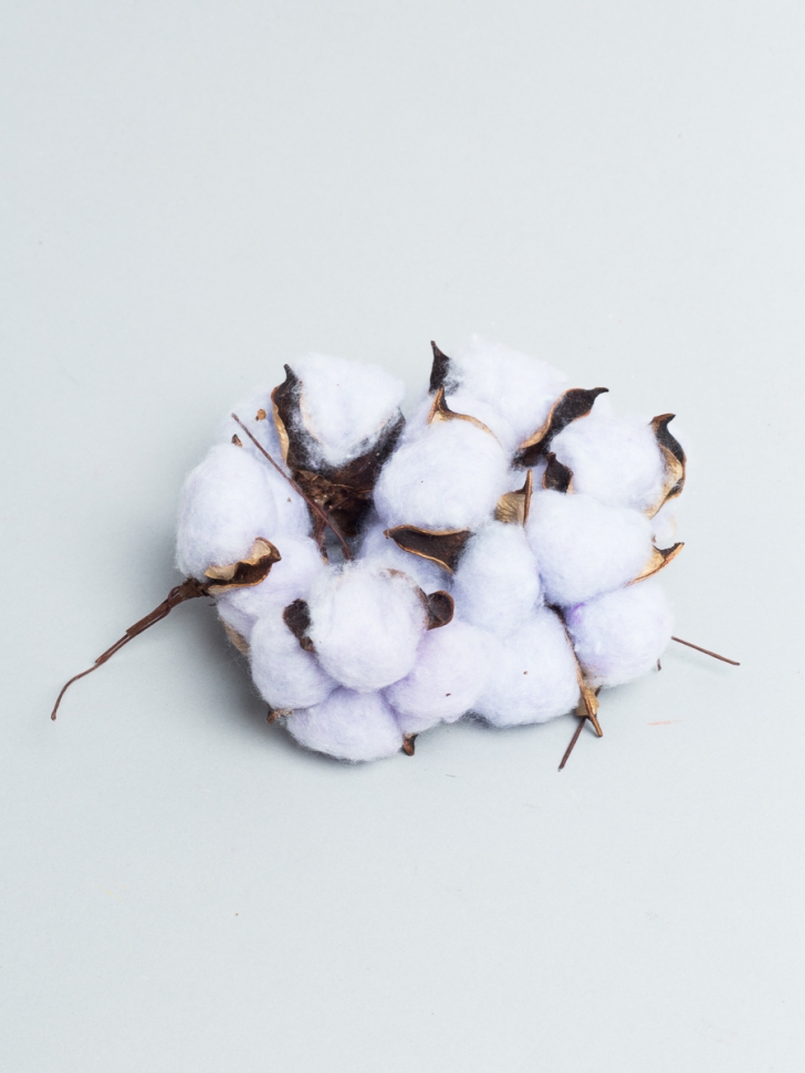 ИЦ Хлопковые коробочки 15шт 5см сиреневый ИЦ Хлопковые коробочки 15шт 5см сиреневый