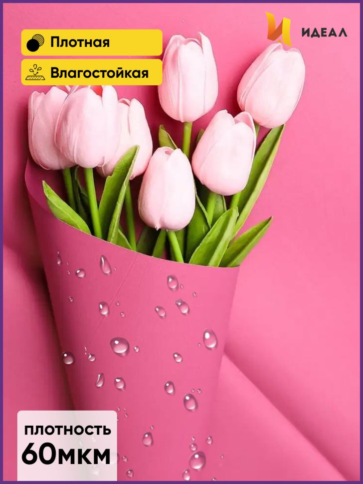 Пленка матовая 58см х 58см 60мкм 10 листов, слива