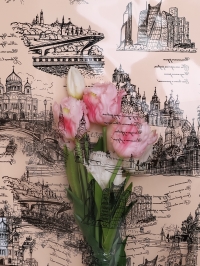 Пленка цветная Россия Москва 70см черный