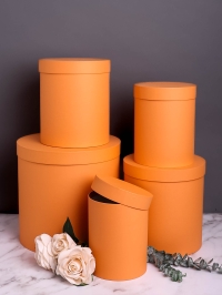Коробка цилиндр набор из 5шт h30xd30см №83 однотонный оранжевый