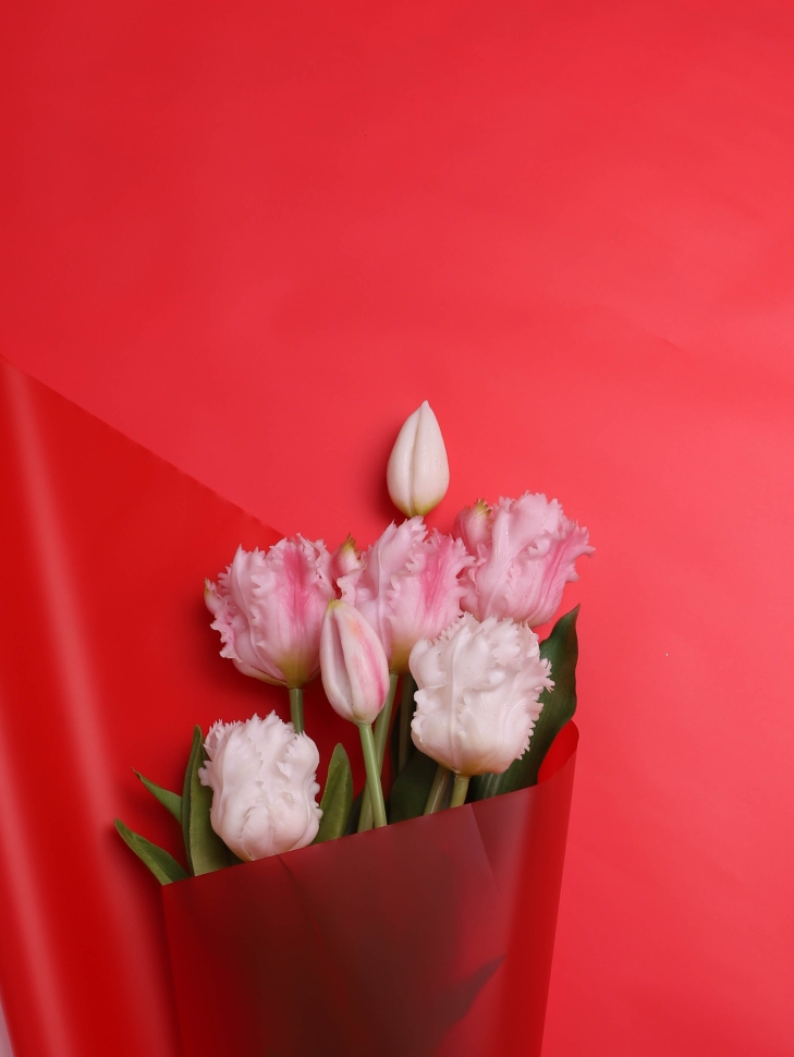 Пленка матовая 40мкм 58см х 10м Воздух красный