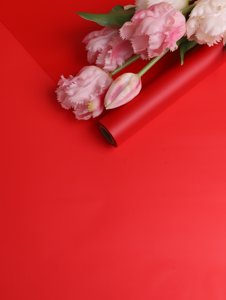 Пленка матовая 40мкм 58см х 10м Воздух красный