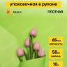 Пленка матовая 65мкм 58см х 10м Ассоль салатовый Пленка матовая 65мкм 58см х 10м Ассоль салатовый