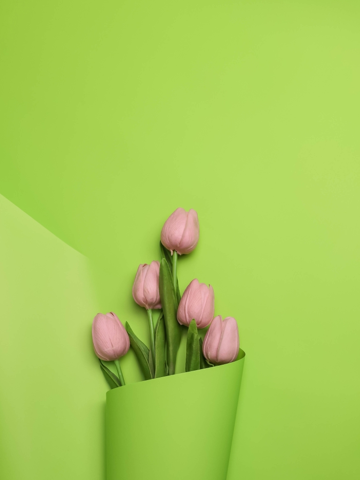 Пленка матовая 65мкм 58см х 10м Ассоль салатовый Пленка матовая 65мкм 58см х 10м Ассоль салатовый