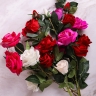 ИЦ Роза кустовая 90см 5 голов микс