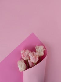 Пленка матовая 58см х 58см 60мкм 10 листов 2-хсторонняя РЦ орхидея/розовый жемчуг