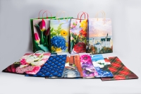 Сумочка пластик мягкий 32х42х10см; L