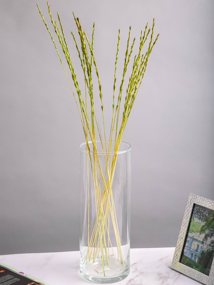 Расграс 60см 20гр 21шт фисташковый Расграс 60см 20гр 21шт фисташковый