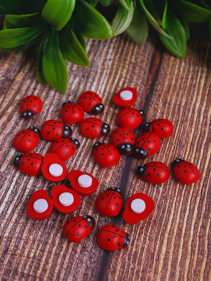 Липучка Божья коровка 24шт. Biedronka 3 (1,9см)