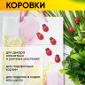 Липучка Божья коровка 24шт. Biedronka 3 (1,9см)