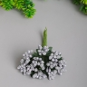 Тычинки для искусственных цветов К 12шт. серебро