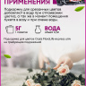 Подкормка для цветов Oasis FloraLife express univ 5 гр. Подкормка для цветов Oasis FloraLife express univ 5 гр.