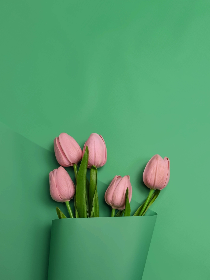 Пленка матовая 60см х 10м  на втулке виридиан светлый