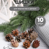 Шишки сосновые север, 4-5см 10шт. натуральные