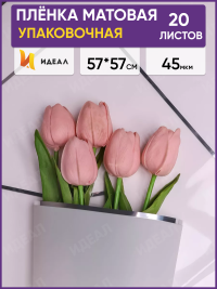 Пленка матовая 57смх57см 20 листов 45мкм серебряный кант белый