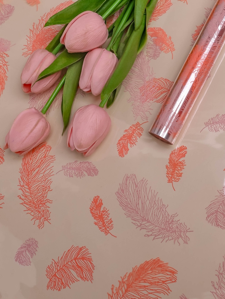 Пленка цветная 60см Перышки пудра/персиковый Пленка цветная 60см Перышки пудра/персиковый