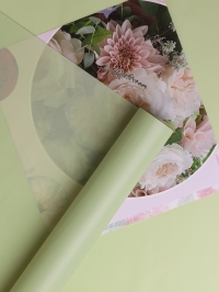 Пленка матовая 60см х 10м  на втулке фисташковый пастель