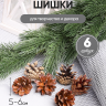 Шишки сосновые север, 5-6см 6шт. натуральные Шишки сосновые север, 5-6см 6шт. натуральные