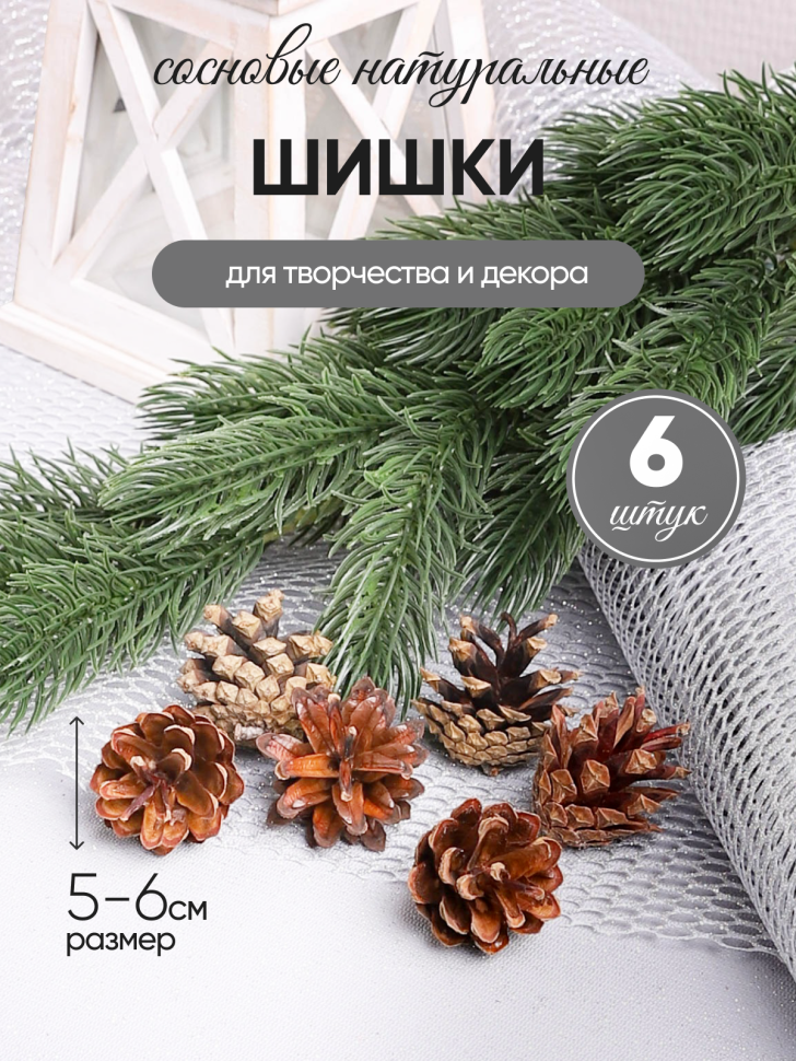 Шишки сосновые север, 5-6см 6шт. натуральные Шишки сосновые север, 5-6см 6шт. натуральные