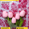 Пленка матовая 60см x 10м  Нежность брусничный