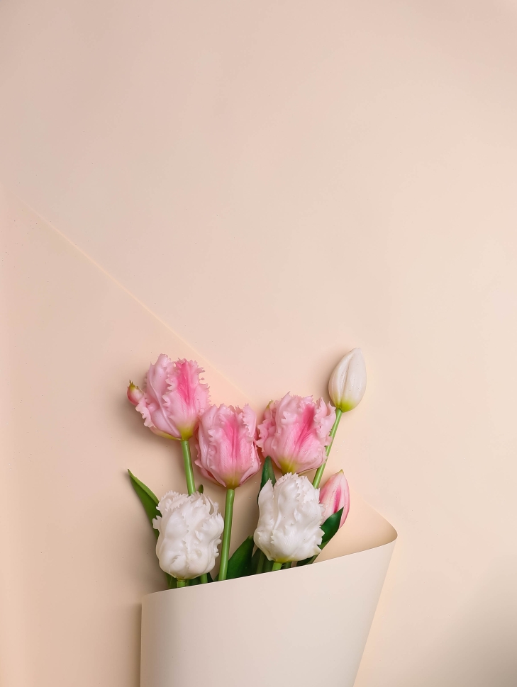 Пленка матовая Пастель 58см х 10м на втулке, слоновая кость. Пленка матовая Пастель 58см х 10м на втулке, слоновая кость.