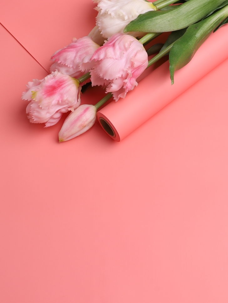 Пленка матовая 50мкм 58см х 10м Флора арбузный