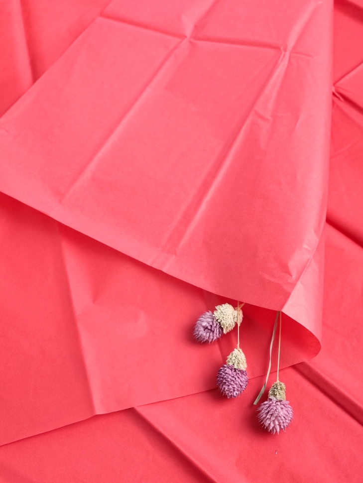 Бумага тишью 50х66см,10 лист. красный Бумага тишью 50х66см,10 лист. красный