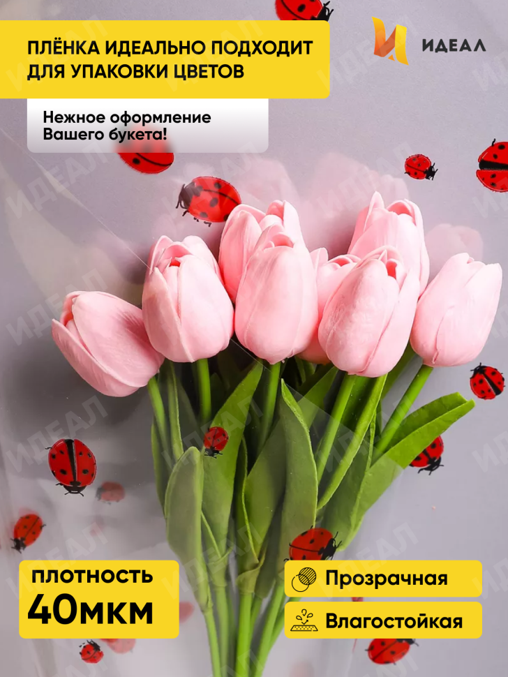 Пленка цветная Божьи коровки 70см Пленка цветная Божьи коровки 70см