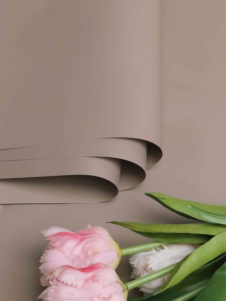 Пленка матовая 58см х 58см 60мкм 10 листов, капучино Пленка матовая 58см х 58см 60мкм 10 листов, капучино