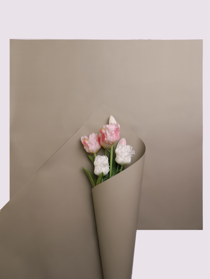 Пленка матовая 58см х 58см 60мкм 10 листов, капучино Пленка матовая 58см х 58см 60мкм 10 листов, капучино