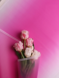 Пленка матовая 50мкм 58см х 10м прозрачный кант фуксия