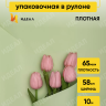 Пленка матовая 65мкм 58см х 10м Ассоль фисташковый пастель Пленка матовая 65мкм 58см х 10м Ассоль фисташковый пастель