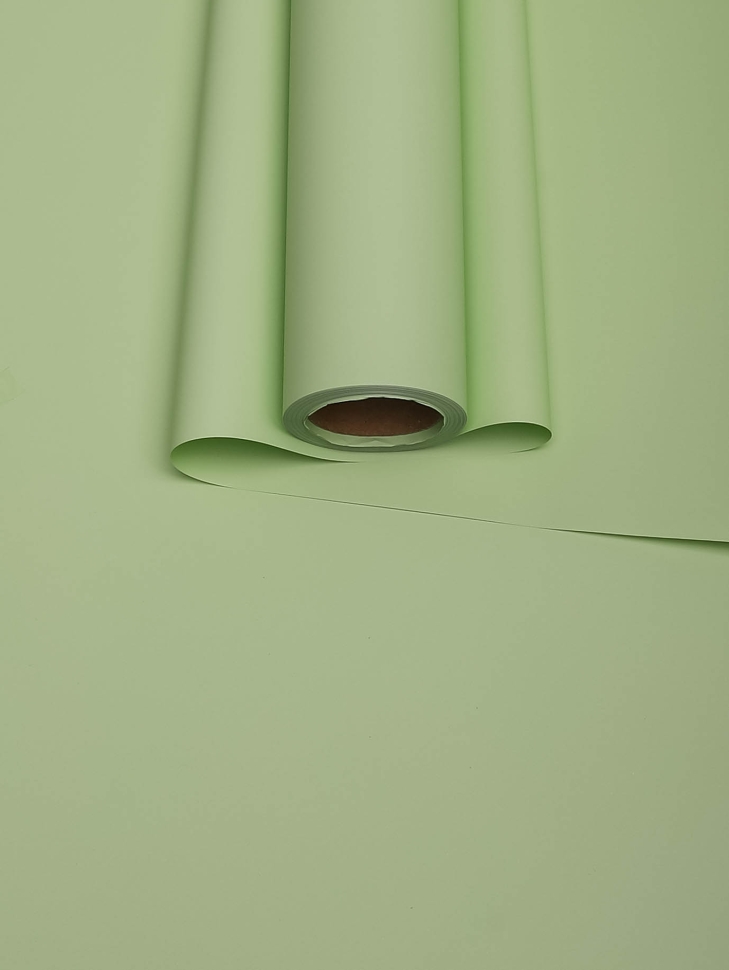 Пленка матовая 65мкм 58см х 10м Ассоль фисташковый пастель Пленка матовая 65мкм 58см х 10м Ассоль фисташковый пастель