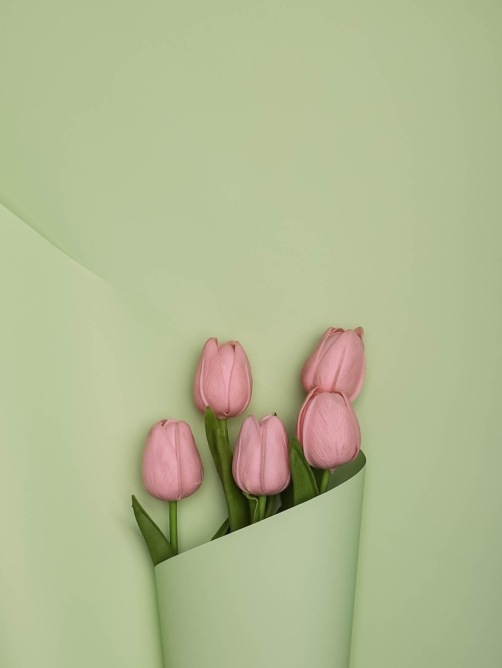 Пленка матовая 65мкм 58см х 10м Ассоль фисташковый пастель Пленка матовая 65мкм 58см х 10м Ассоль фисташковый пастель