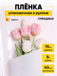 Пленка цветная Лак 70см белая