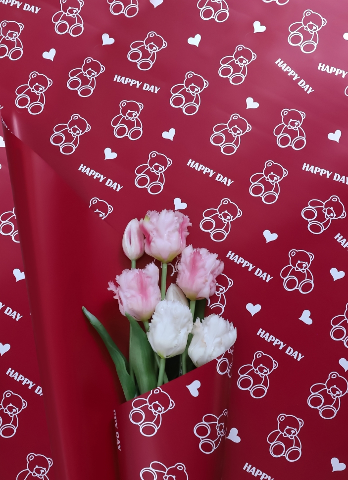 Пленка матовая 65мкм 58см х 10м Мишки красный