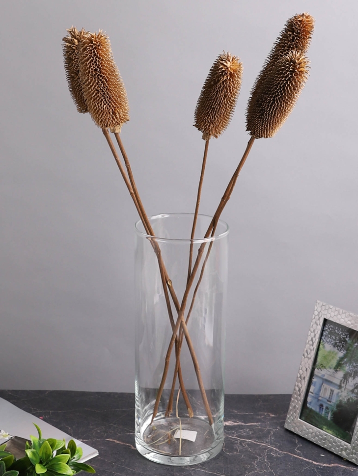 ИЦ Ворсянка 5 шт 60см натуральный ИЦ Ворсянка 5 шт 60см натуральный