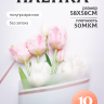 Пленка матовая 58смх58см 10 листов 50мкм кант 50 белый Пленка матовая 58смх58см 10 листов 50мкм кант 50 белый