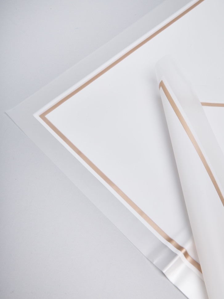 Пленка матовая 58смх58см 10 листов 50мкм кант 50 белый Пленка матовая 58смх58см 10 листов 50мкм кант 50 белый