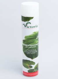 Спрей Блеск Victoria 750мл 9132