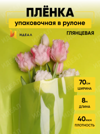 Пленка цветная Лак 70см салатовая