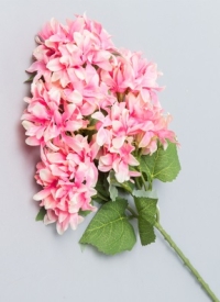 ИЦ Гортензия 59см розовый