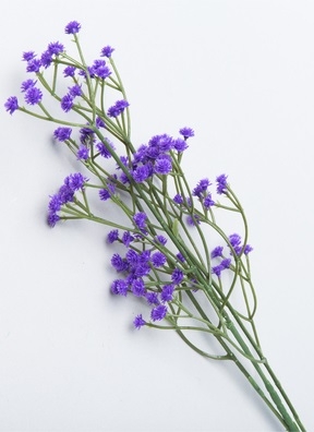 ИЦ Ветка Гипсофилы 60см фиолетовый ИЦ Ветка Гипсофилы 60см фиолетовый